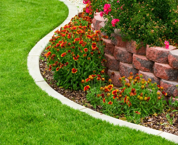 Trimmed lawn edge surrounding a flower bed
