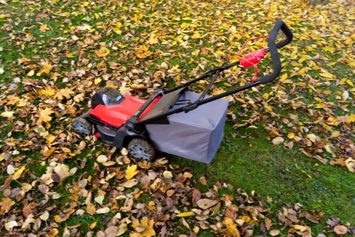 a lawn mower mowing fall leaves as part of a fall lawn care regime
