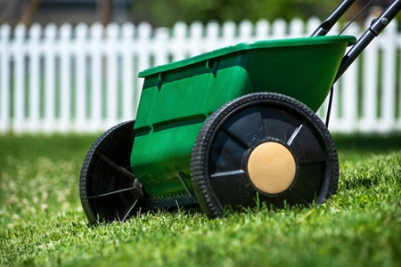 lawn owner spreading fertiliser